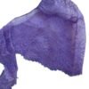 Net Caps Under Hijab - Image 8